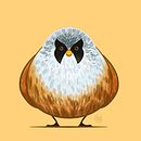 Bearded reedling for #Animarch challenge. Digital Drawing, and Traditional illustration project by José González - 03.20.2021