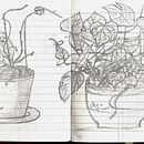 bozzetto.... Un projet de Esquisse  de Lilly Masi - 20.03.2012