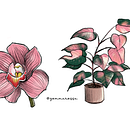 Piante. Een project van Traditionele illustratie,  Botanische illustratie y Digitale illustratie van Angela Torrisi - 21.03.2021