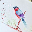 Bird watercolor. Traditional illustration project by Виктория Биржакова - 03.23.2021
