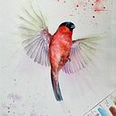Birds watercolor . Traditional illustration project by Виктория Биржакова - 03.23.2021