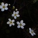  En la ciudad . Een project van Fotografie van Sergio Albés Pérez - 23.03.2021