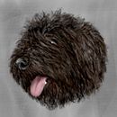 Fidel Salvaje. Digital Illustration project by Luciano Civitico - 02.03.2021