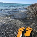Passionate about the sea . Un proyecto de Escritura de Carla Figueiredo - 26.03.2021