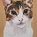 Retrato Animal. Een project van  Acr y lschilderij van milagros concina - 29.03.2021