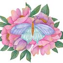 Dibujo y composición naturalista en acuarela. Un proyecto de Ilustración tradicional, Ilustración botánica, Ilustración naturalista				, Pintura y Pintura a la acuarela de Andrea Bustos León - 30.03.2021