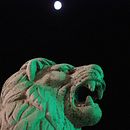De piedra. Un proyecto de Fotografía y Fotografía artística de Hugo Cortizo Piñán - 31.03.2021