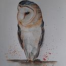 My project in Artistic Watercolor Techniques for Illustrating Birds course . Lukisan Cat Air proyek oleh Zita Csapó - 03.31.2021