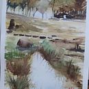 Mi Proyecto del curso:  Paisajes naturales en acuarela. Pintura em aquarela projeto de Dita Carbone - 01.04.2021