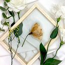 Gardenia Vera. Photographic Composition project by Gardenia Vera - 04.03.2021