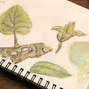 Hydrangea Leaves Grisaille Ein Projekt aus dem Bereich Aquarellmalerei von joconnor3329 - 03.04.2021