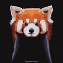 Red Panda. Ilustração digital projeto de Rebecca Paramio Nave - 04.04.2021