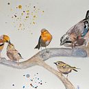 My project in Artistic Watercolor Techniques for Illustrating Birds course . % babette_dobbenie tarafından hazırlanan Sulubo, Ve a Resim projesi - 04.04.2021