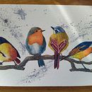 Mi Proyecto del curso: Acuarela artística para ilustración de aves. Un progetto di Pittura ad acquerello di Paula Hermosilla Sobarzo - 04.04.2021