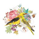 pájaros botánicos. Un proyecto de Bellas Artes, Ilustración tradicional, Ilustración botánica y Pintura a la acuarela de Anna Valpuesta Farré - 05.04.2021