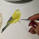 Vida a color tomando vuelo. Een project van Aquarelschilderen van Marcela Torres - 05.04.2021