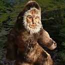 Sasquatch doll and appliqué motif. Projekt z dziedziny To, art, Craft, Kreat, wność,  Dekoracja wnętrz,  Haft, Projektowanie mod,  Tkactwo, Projektowanie produktowe,  Sz, cie, Projektowanie zabawek, Upc i cling użytkownika Celine Vautour - 06.04.2021