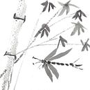 Sumi-e. Un progetto di Illustrazione con inchiostro di Mark Swarthout - 05.05.2019