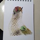 Mi Proyecto del curso: Ilustración naturalista de aves con acuarela. Ilustração tradicional, Pintura em aquarela, Desenho realista e Ilustração naturalista projeto de Raimundo Undurraga - 06.04.2021