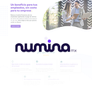 Landing Page numina. Un proyecto de UX / UI de Adalberto Landín - 01.08.2020