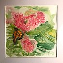 Butterfly and milkweed . Un projet de Illustration traditionnelle, Aquarelle, Illustration botanique et Illustration naturaliste de Mary Lagdameo - 07.04.2021