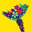 ARARA. Un proyecto de Ilustración botánica e Ilustración digital de Maru Palomeque - 07.03.2021
