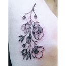 Meu projeto do curso: Tatuagem botânica com pontilhismo Ein Projekt aus dem Bereich Traditionelle Illustration und Tattoodesign von Vi Guidugli - 28.04.2021