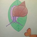 Snail test - gouache Ein Projekt aus dem Bereich Gouachemalerei und Aquarellmalerei von whirlygigg - 08.03.2021