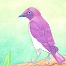 violet starling Ein Projekt aus dem Bereich Gouachemalerei und Aquarellmalerei von whirlygigg - 09.02.2021