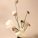 MONOCHROME.. Art Direction, and Fine-Art Photograph project by Renata Vomend - 01.05.2021