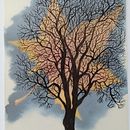 Full of Trees and Changing Leaves . % Paula Swenson tarafından hazırlanan Ciltçilik, Çizim, Sulubo, Ve a Resim projesi - 03.01.2021