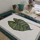 Meu projeto do curso: Aquarela botânica: ilustre a anatomia das flores. Un progetto di Illustrazione botanica di Bruna Moreti - 10.04.2021