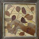 Landscapes & botanica. Collage project by Irene Petrocheilou - 04.10.2021