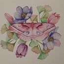 questi i miei compiti, sono soddisfatta insegnante bravissima . Pictură în acuarelă de Daniela Scalco - 04.12.2021