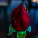 Mi Proyecto del curso: práctica para aprender a manejar tu cámara digital. Un proyecto de Fotografía y Fotografía digital de Edgar G.M - 11.04.2021
