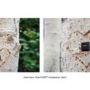 Proyecto fotográfico: Nuevas Actualizaciones. Projekt z dziedziny  Sztuki piękne, Rzeźba i Fotografia użytkownika Nerea Garzón Arenas - 30.05.2018
