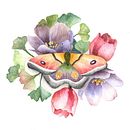 Mein Kursprojekt: Naturalistische Zeichnung und Komposition mit Aquarell. Un proyecto de Ilustración tradicional de Gabriele Dreßler - 11.04.2021