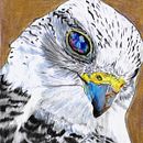 Aves en lápices de colores . Desen, Desen în creion, Desen artistic, Desen realist & Ilustrație tradițională de Elizabeth Coloma Santibañez - 04.11.2021