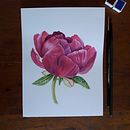 Proyecto Botanica en Acuarela. Un progetto di Belle arti, Illustrazione botanica e Pittura ad acquerello di Nicole Luco - 12.04.2021