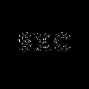 SXC Ein Projekt aus dem Bereich Multimedia und Tongestaltung von Ariel Velasquez R. - 11.04.2021