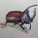 Insect. Un proyecto de Ilustración botánica de Nathalie Lauwereyns - 28.03.2021