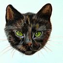 street cat Buntstifte . Een project van Traditionele illustratie van Jazz - 12.04.2021