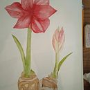 Il mio progetto del corso: Acquerello botanico: illustra l’anatomia dei fiori. Projekt z dziedziny  R, sunek art, st i czn użytkownika saraceruti86 - 12.04.2021
