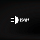 SELINGA SÁNDOR. Een project van  Br e ing en identiteit van Szilard Postol - 12.04.2021