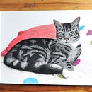 Cat in Pastel. Projekt z dziedziny  R i sunek użytkownika Claudia Risch - 13.04.2021