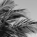 O céu. Un progetto di Fotografia di mdoherty92 - 14.07.2020