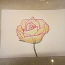 Meu projeto do curso: Rosas . % michelleafacchin tarafından hazırlanan Çizim projesi - 04.14.2021