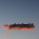 Portfolio . Dezvoltarea portofoliului de Carlota Guerra - 04.14.2021