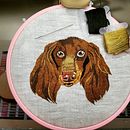 My project in Needle Painting for Beginners course. Criatividade projeto de Rosy Tedesco - 14.04.2021