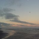 Colección de atardeceres . % Mica Gonzalez tarafından hazırlanan Fotoğrafçılık, Açık Hava Fotoğrafçılığı, Güzel Sanatlar Fotoğrafçılığı, Ve Dijital Fotoğrafçılık projesi - 04.15.2021